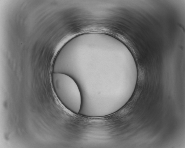 X0000102511486200808080956