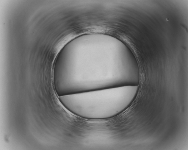 X0000102511487200808080956
