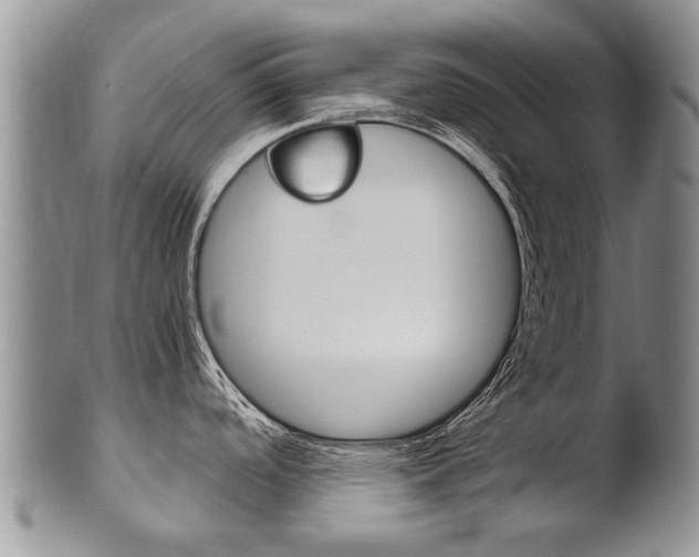 X0000102511488200808080956