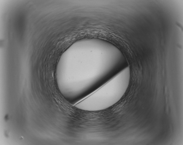 X0000102511489200808080955