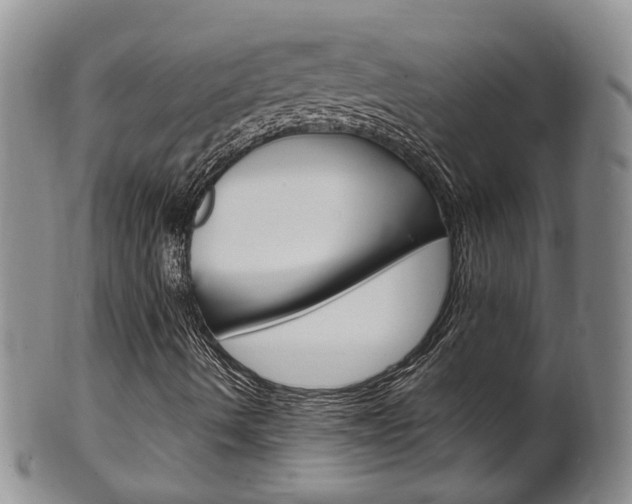 X0000102511490200808080955