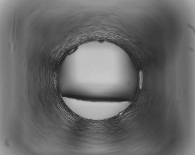 X0000102511491200808080955