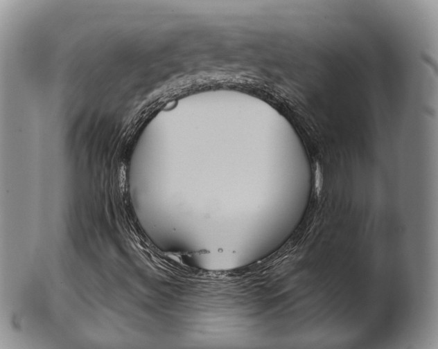 X0000102511492200808080955