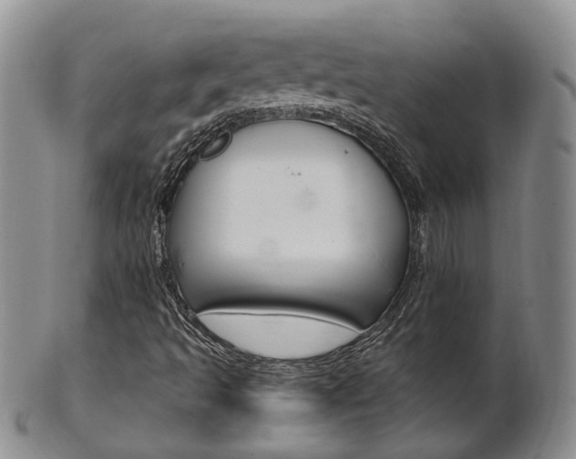 X0000102511493200808080955
