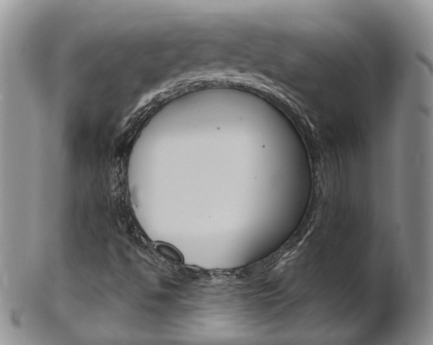 X0000102511494200808080955