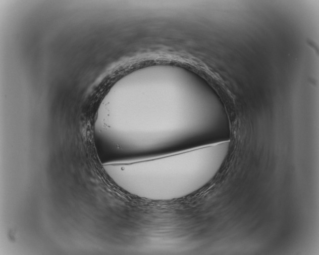 X0000102511495200808080955