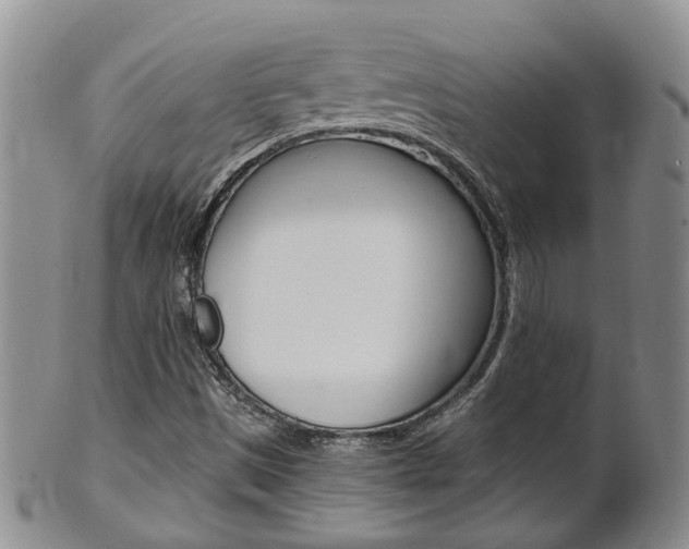 X0000102511497200808080955