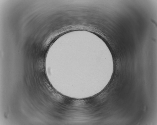 X0000102511499200808080955