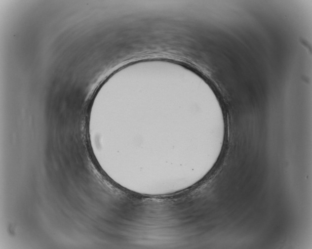 X0000102511500200808080955