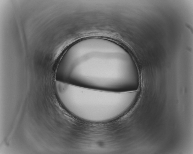 X0000102511501200808080955