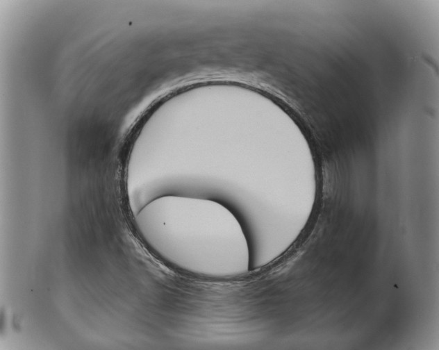 X0000102511502200808080955