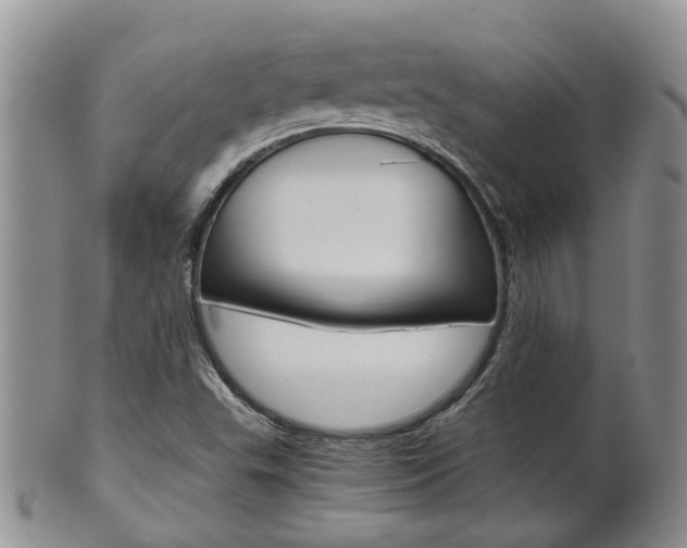X0000102511503200808080955