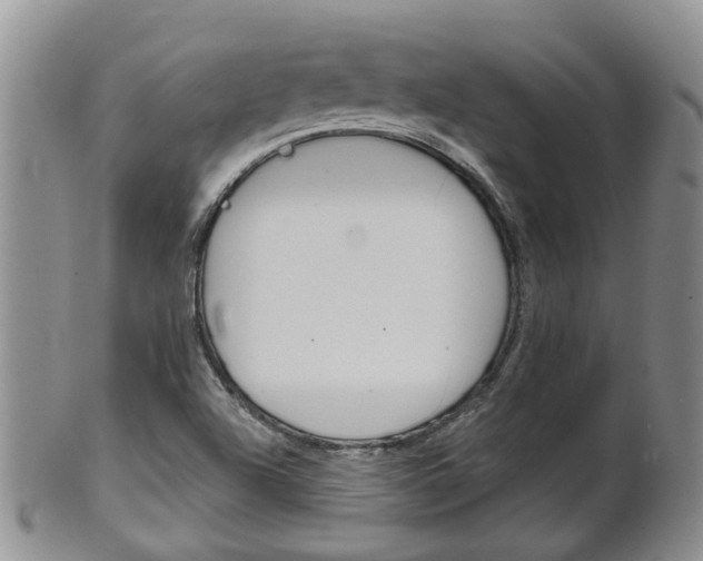 X0000102511504200808080955