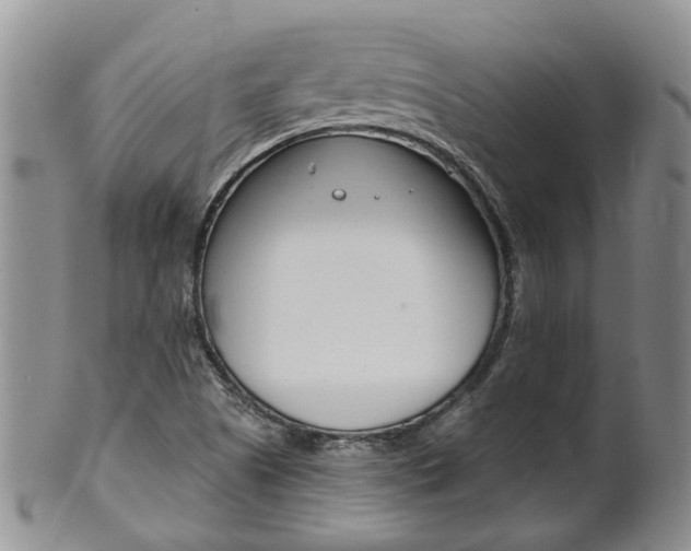 X0000102511505200808080955