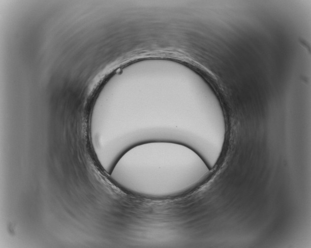 X0000102511506200808080955