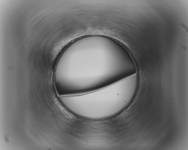 X0000102511507200808080955