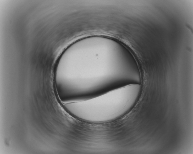 X0000102511508200808080955