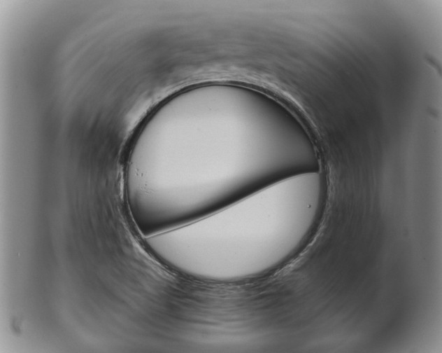 X0000102511509200808080955
