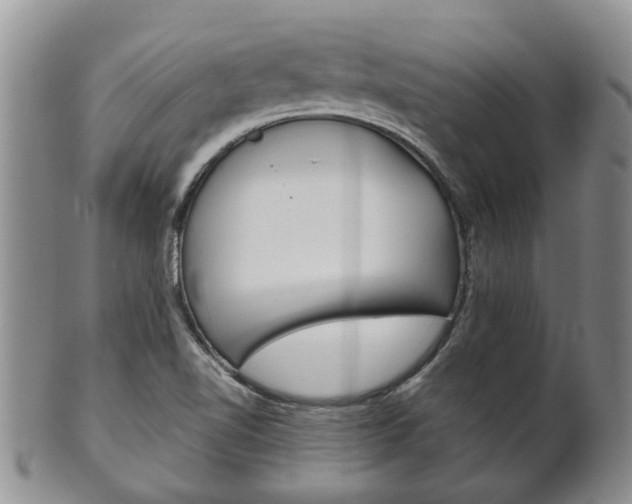 X0000102511510200808080955