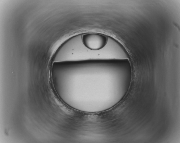 X0000102511511200808080955