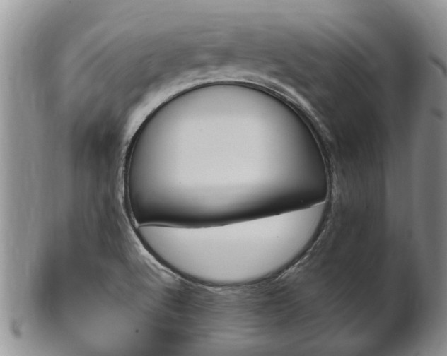 X0000102511512200808080955