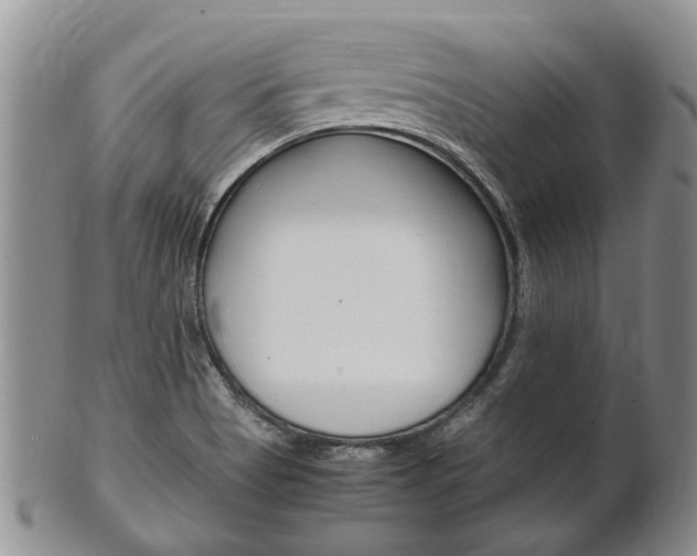 X0000102511513200808080955