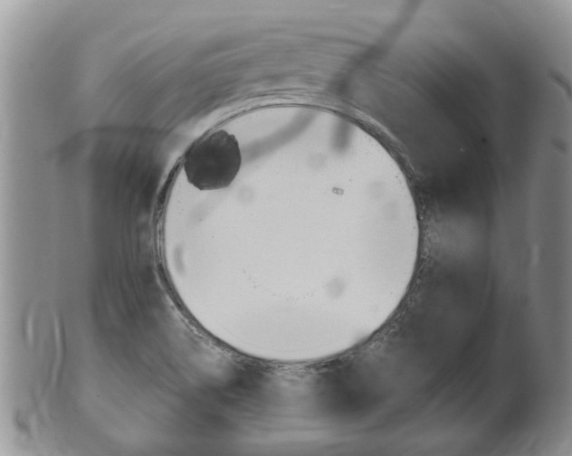 X0000102511514200808080955
