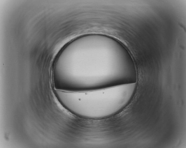 X0000102511515200808080955
