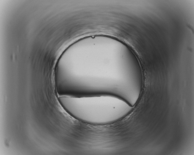 X0000102511516200808080955