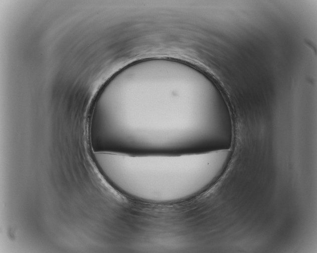 X0000102511517200808080955