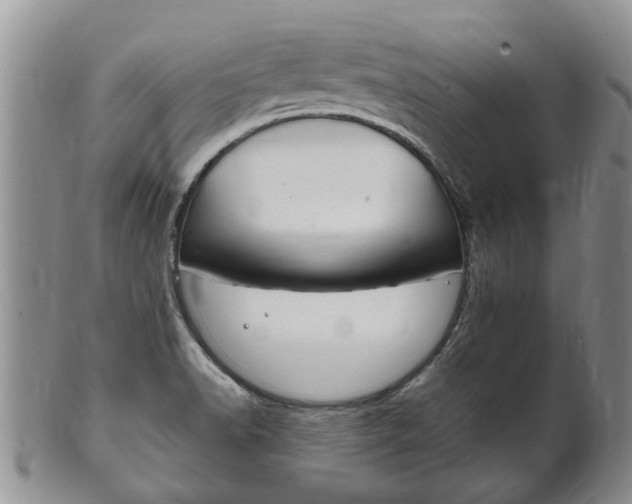 X0000102511518200808080955