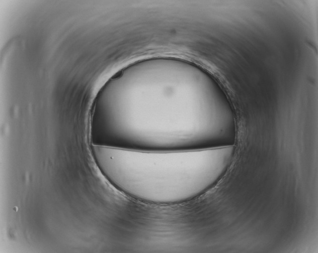 X0000102511520200808080955