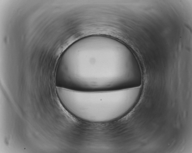 X0000102511521200808080955