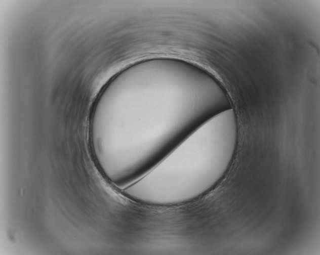 X0000102511523200808080955