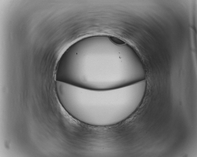 X0000102511524200808080955