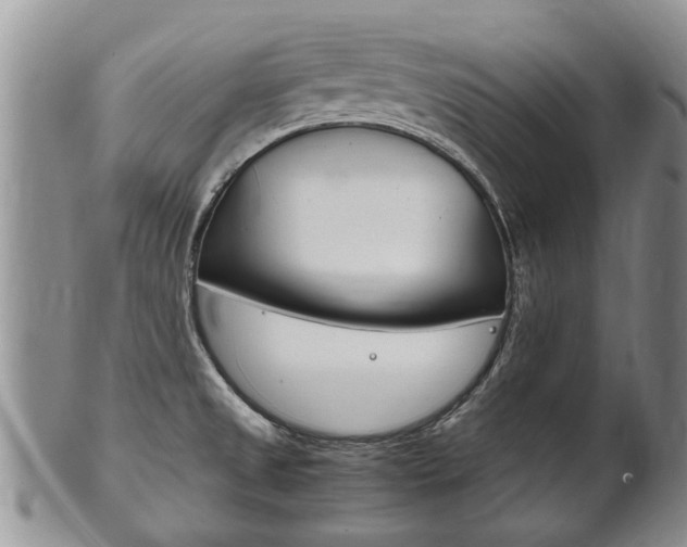 X0000102511525200808080955