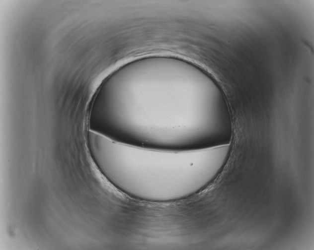 X0000102511526200808080955