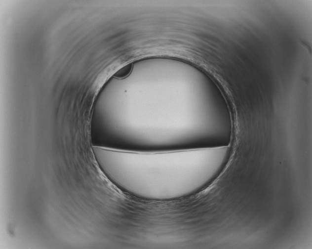 X0000102511529200808080956