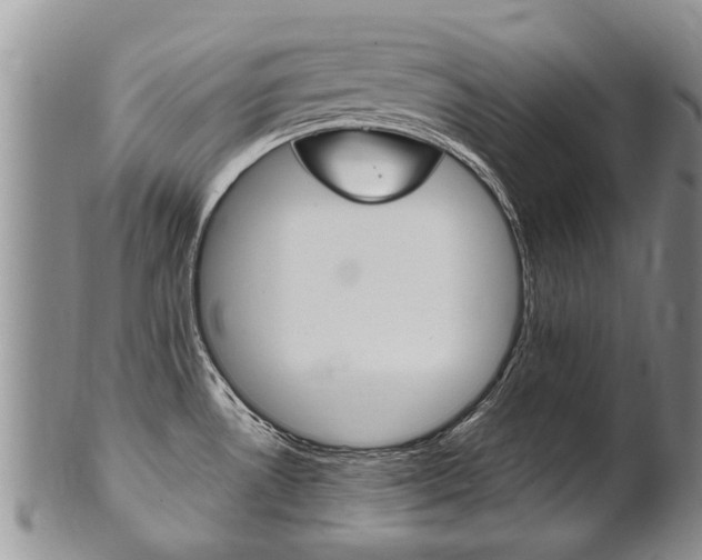 X0000102511530200808080956