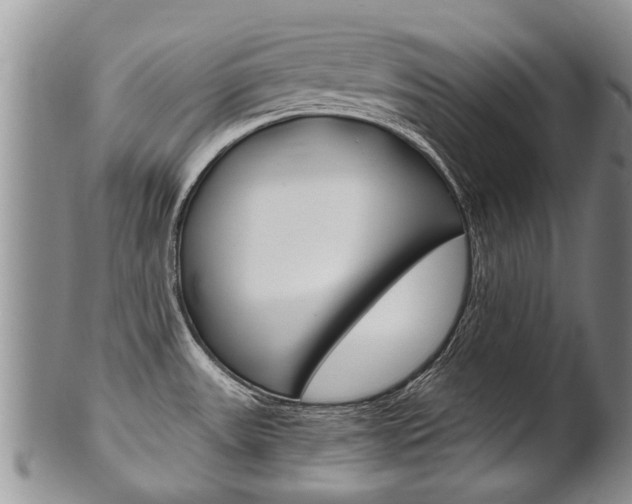 X0000102511531200808080956