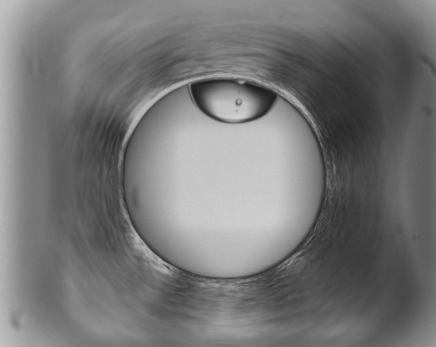 X0000102511532200808080956