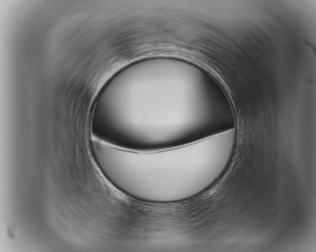 X0000102511533200808080956