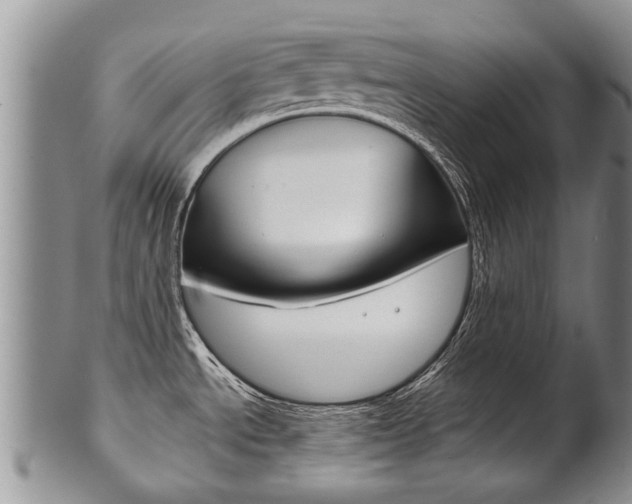 X0000102511534200808080956