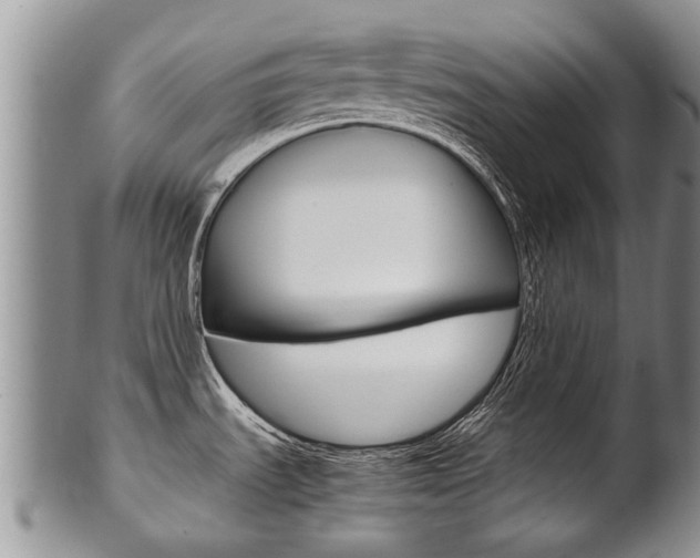 X0000102511535200808080956