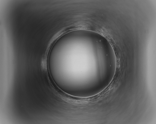 X0000102510004200808081420