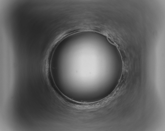 X0000102510005200808081419