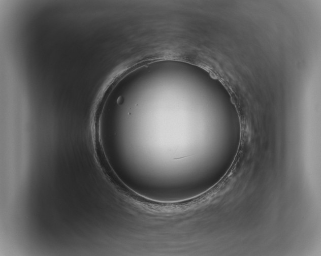 X0000102510006200808081419