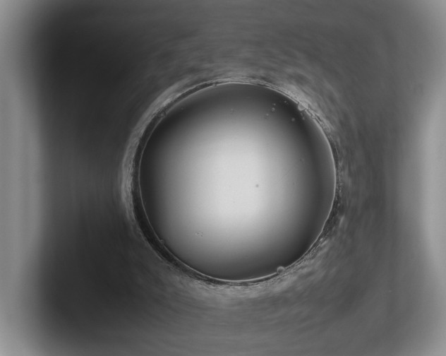 X0000102510007200808081419