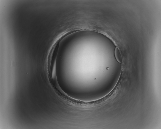 X0000102510008200808081419