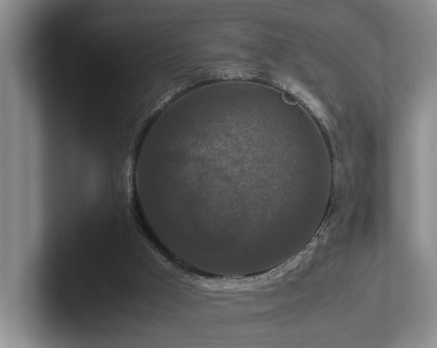 X0000102510009200808081419